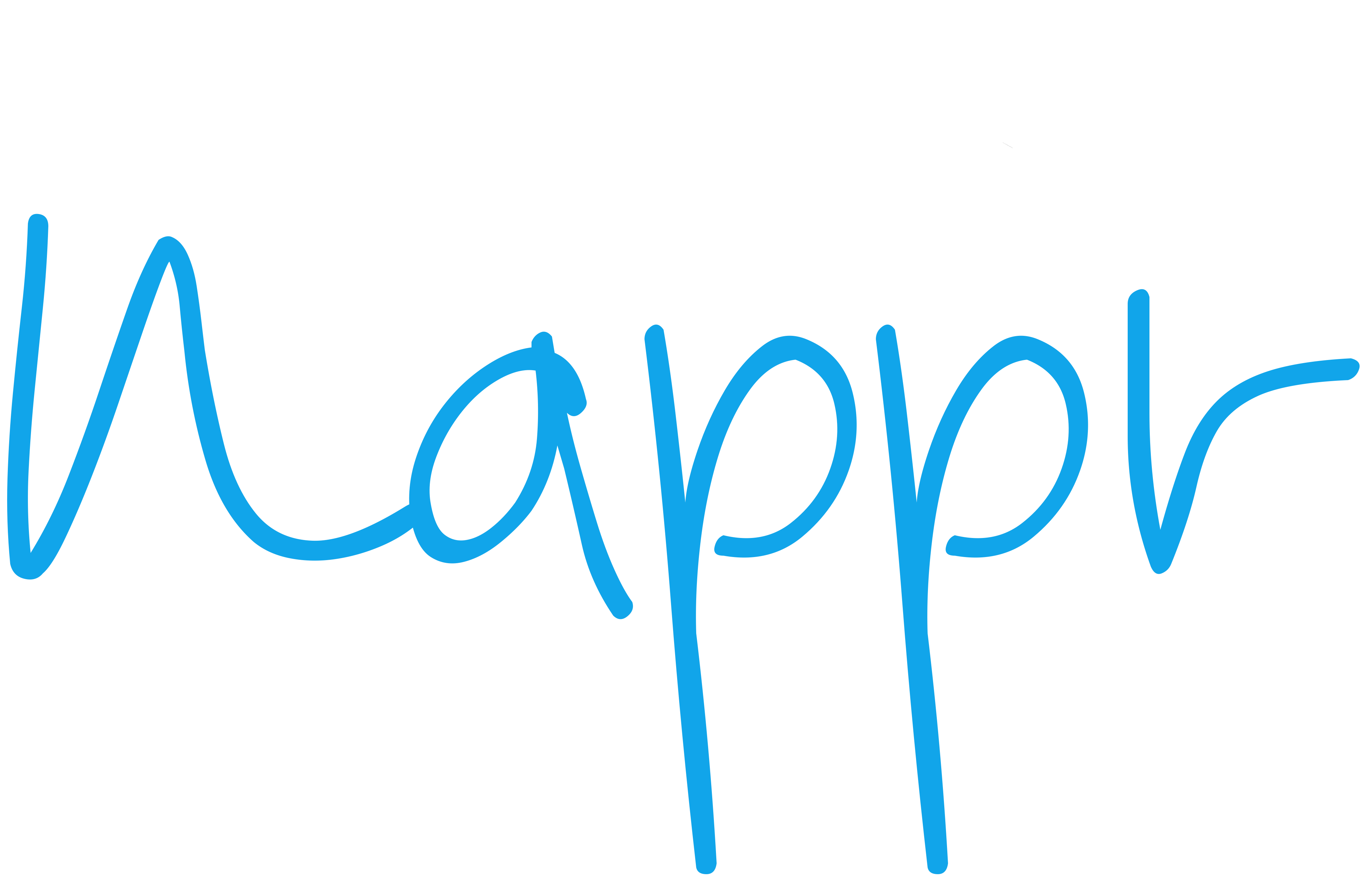 Nappr Footer Logo